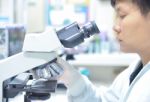 Asia Scientist Working In Biological Laboratory Stock Photo