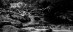 Liffey Falls In The Midlands Region, Tasmania Stock Photo