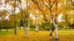 Autumn Season In Russia Moscow Stock Photo