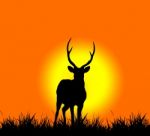 Silhouette Of Deer Stock Photo