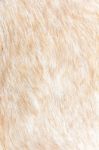 Goat Wool Background Stock Photo