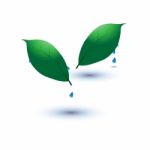 Eco Icon With Green Leaf With Water Drop Stock Photo