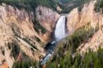 Lower Yellowstone Falls Stock Photo