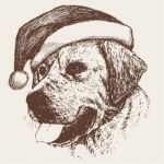 Dog With Santa Claus Hat Hand Drawn Stock Photo