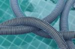 Closeup Swimming Pool Vacuum Hose Floating On Water Stock Photo