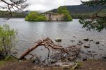 Castle In The Middle Of Loch Eilein Stock Photo