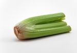 Celery Stock Photo