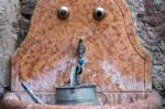 Sparrow Drinking From A Tap In Verona Stock Photo