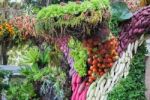 Variety Vegetables Displayed In Food Festival Stock Photo