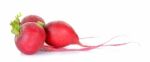 Red Radish Isolated On The White Background Stock Photo