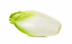 Fresh Chicory On A White Background Stock Photo