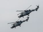 Royal Navy Black Cat Helicopter Display Team Stock Photo