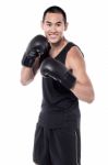 Are You Ready To Box With Me! Stock Photo