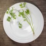 Coriander In White Ceramic Dish On Wooden Background,thai Tradition Herb And Vegetable Stock Photo