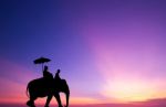 Silhouette Elephant With Tourist At Sunset Stock Photo