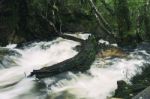 Knyvet Falls In Cradle Mountain Stock Photo