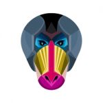 Male Mandrill Head Flat Icon Stock Photo