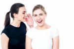 Young Girls Gossiping And Having Fun Stock Photo