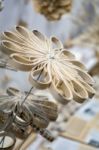 Artistic Flower Display Made Of Paper At The Millennium Centre I Stock Photo