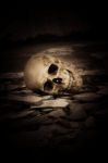 Human Skull On Ruins Place Stock Photo