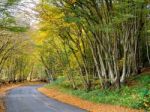 Autumnal Scene In The Sussex Countryside Stock Photo