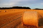 Straw Bales At Sunset Stock Photo