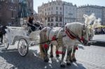 Carriage And Horses In Krakow Stock Photo