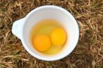 Raw Eggs in bowl Stock Photo