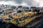 Autumn Colours In Wyoming Stock Photo