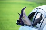 Woman Legs Out The Windows Car Stock Photo