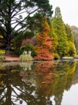 Tree Leaves Changing Colour In Autumn Stock Photo