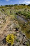 Beautiful Spring View Of A Countryside Stream Of Water Located In Portugal Stock Photo