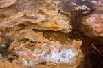 View Of Mammoth Hot Springs Stock Photo