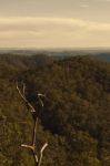 View From Mount Glorious Near Brisbane, Queensland Stock Photo