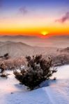 Sunrise On Deogyusan Mountains Covered With Snow In Winter,south Korea Stock Photo