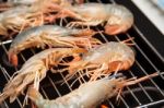 Grilled Prawns On The Grill Stock Photo