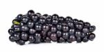 Black Grape Isolated On The White Background Stock Photo