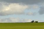 Agricultural  Stock Photo