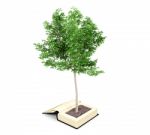 Tree Growing From The Old Book. Reading Develops Imagination. Knowledge Growth From Education Concept, 3d Rendering Stock Photo