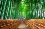 Bamboo Forest. Asian Woman Wearing Japanese Traditional Kimono At Bamboo Forest In Kyoto, Japan Stock Photo