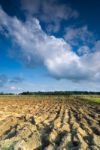 Cultivated Land Stock Photo