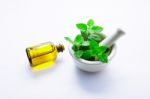 Natural Mint Essential Oil In A Glass Bottle With Fresh Mint Lea Stock Photo