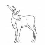 Line Drawing Of Impala -simple Line  Stock Photo