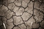 Dry Cracked Earth Stock Photo