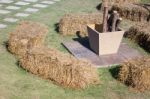 Dry Rice Straw In The Garden Stock Photo