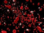 Blood Cells Stock Photo