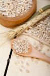 Organic Wheat Grains Stock Photo