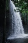 Killen Falls, Tintenbar, New South Wales Stock Photo