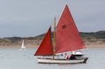 Appledore, Devon/uk - August 14 : Sailing In The Torridge And Ta Stock Photo