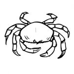 Freehand Sketch Illustration Of Crab Stock Photo